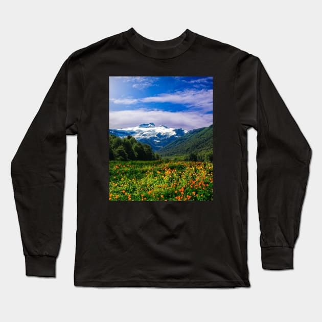 Flowers Bed on Mountains-Spring Long Sleeve T-Shirt by Haministic Harmony